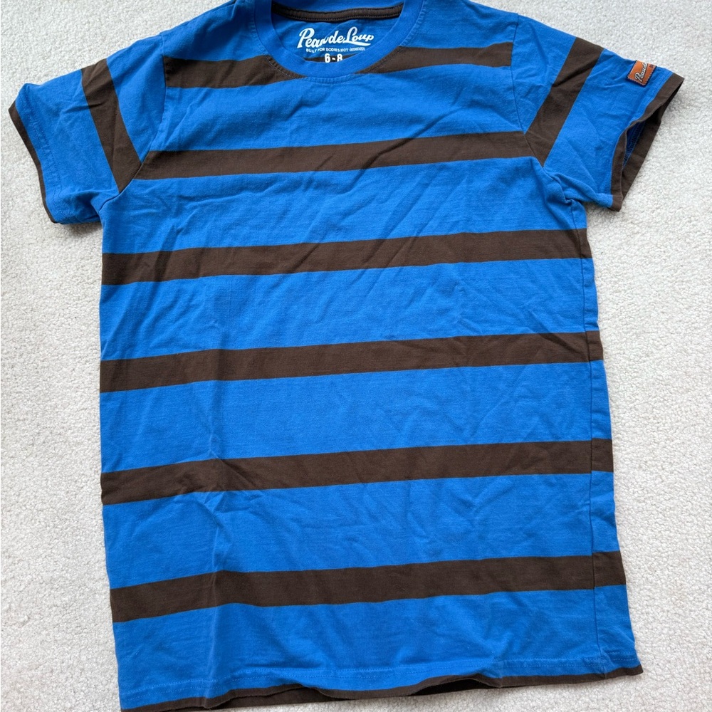 Peau De Loup Vibrant Blue And Brown Striped Tee